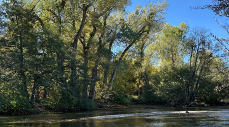 Stanislaus River flowing through the Knights Ferry Recreation Area