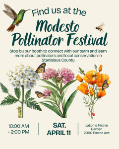 pollinator festival flyer