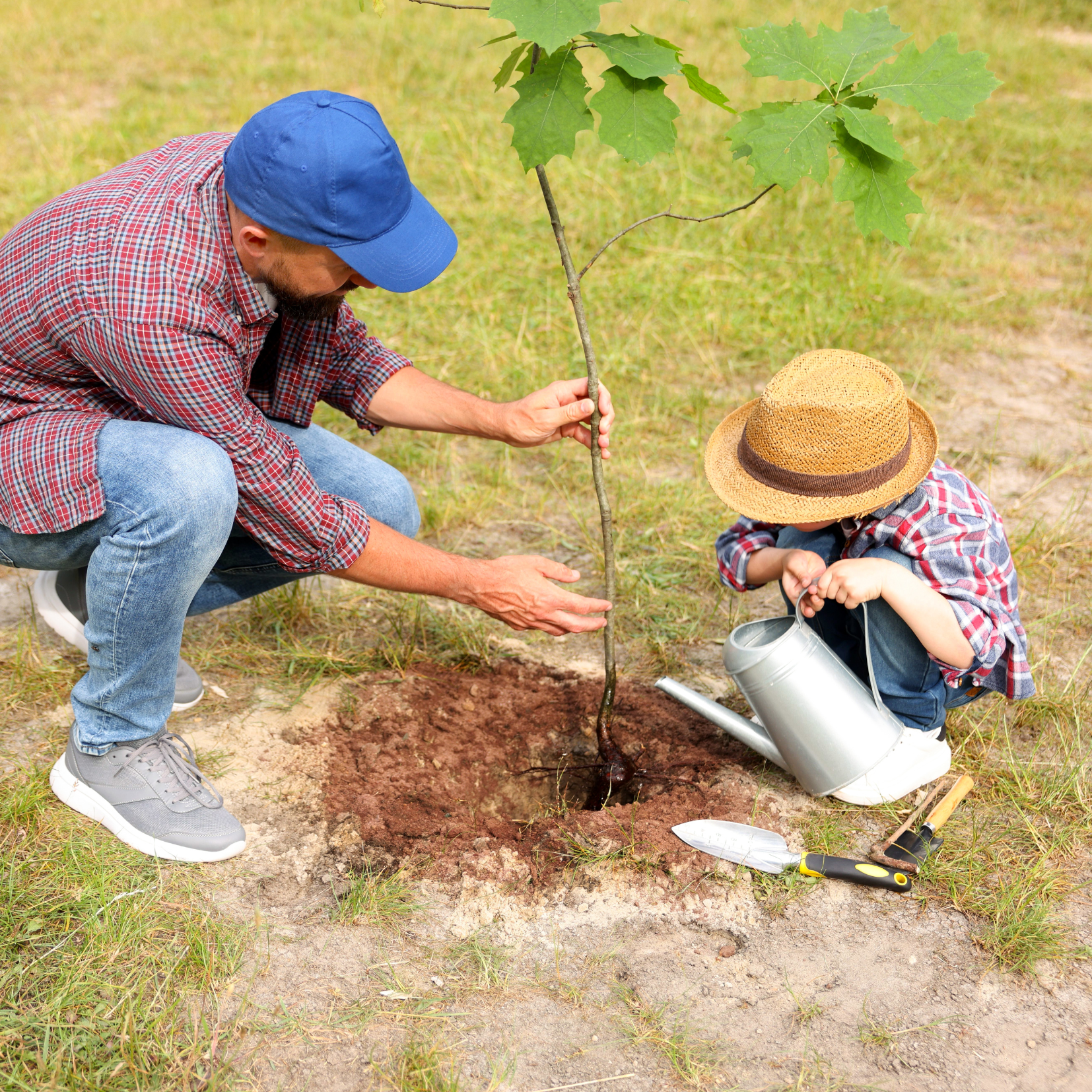 man and child planting a small tree