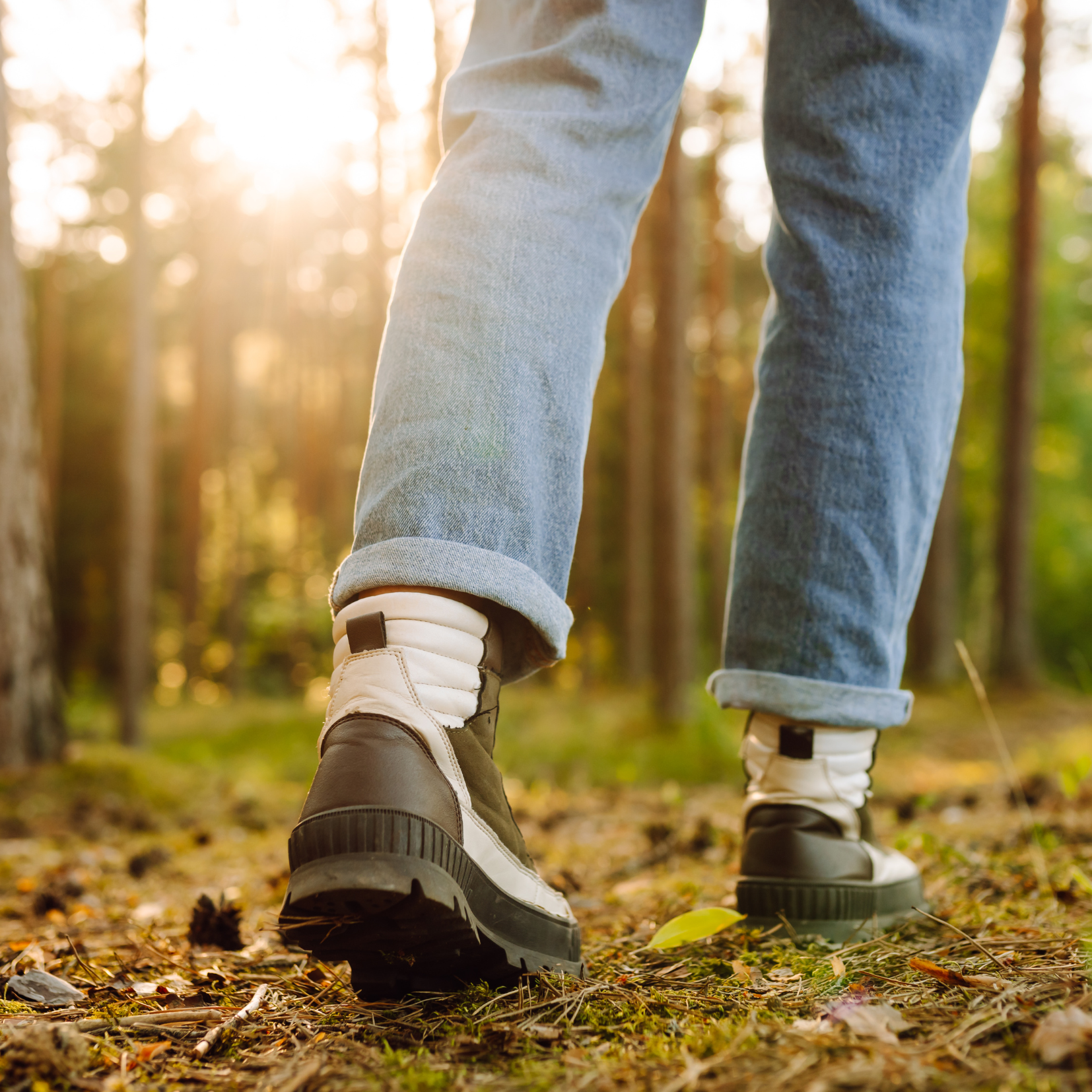 person walking through forest