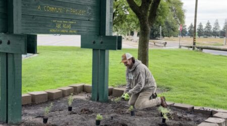 Staff member planting native plants